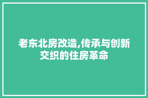 老东北房改造,传承与创新交织的住房革命