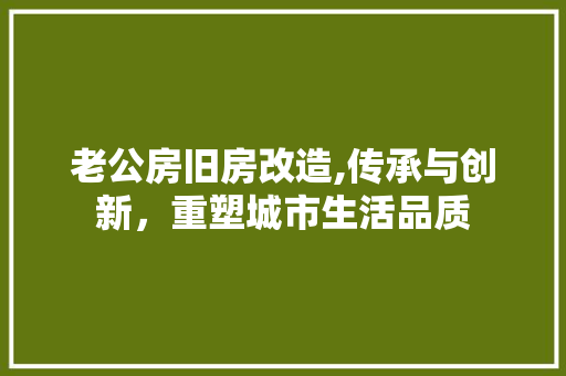 老公房旧房改造,传承与创新，重塑城市生活品质