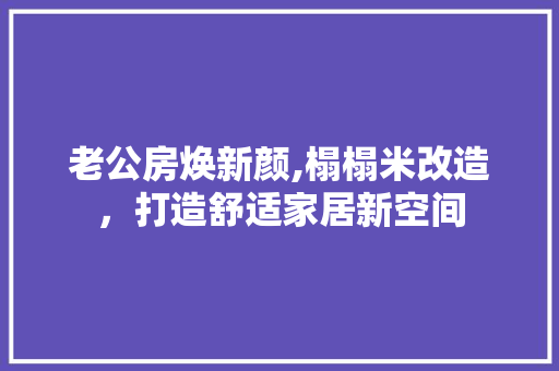 老公房焕新颜,榻榻米改造，打造舒适家居新空间