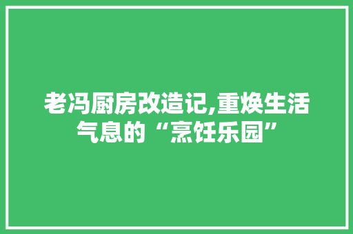 老冯厨房改造记,重焕生活气息的“烹饪乐园”