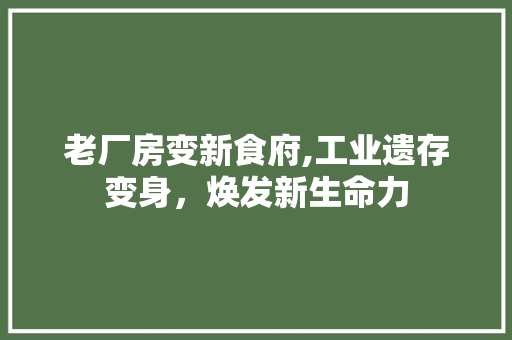 老厂房变新食府,工业遗存变身，焕发新生命力