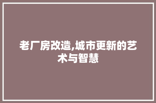 老厂房改造,城市更新的艺术与智慧