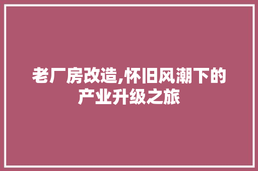 老厂房改造,怀旧风潮下的产业升级之旅