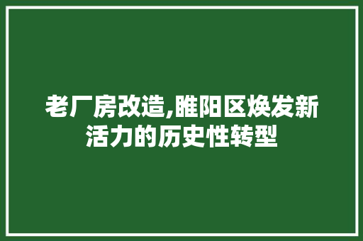 老厂房改造,睢阳区焕发新活力的历史性转型