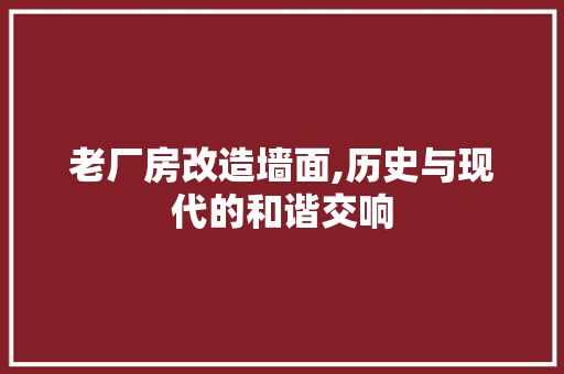老厂房改造墙面,历史与现代的和谐交响