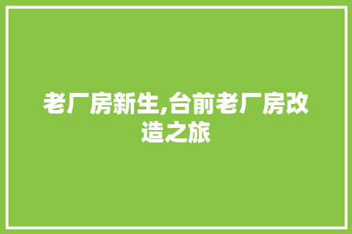 老厂房新生,台前老厂房改造之旅