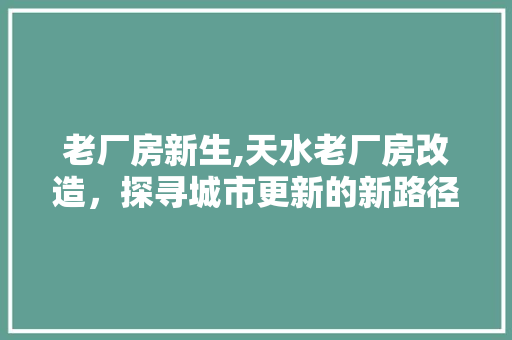 老厂房新生,天水老厂房改造，探寻城市更新的新路径