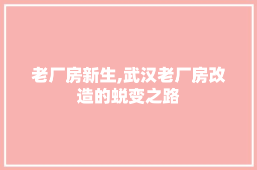 老厂房新生,武汉老厂房改造的蜕变之路