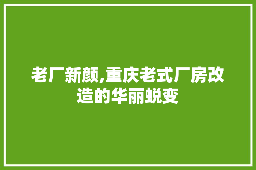 老厂新颜,重庆老式厂房改造的华丽蜕变