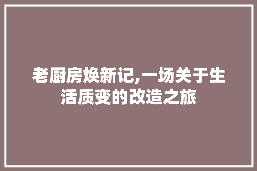 老厨房焕新记,一场关于生活质变的改造之旅