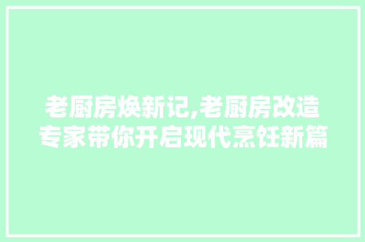 老厨房焕新记,老厨房改造专家带你开启现代烹饪新篇章