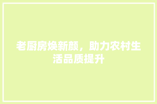 老厨房焕新颜，助力农村生活品质提升