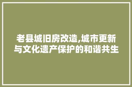 老县城旧房改造,城市更新与文化遗产保护的和谐共生