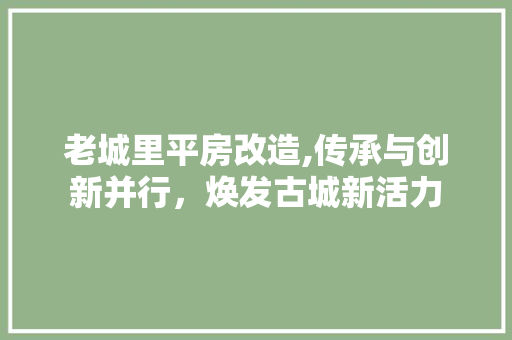 老城里平房改造,传承与创新并行，焕发古城新活力
