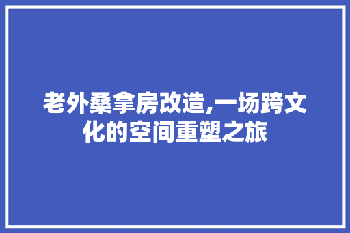 老外桑拿房改造,一场跨文化的空间重塑之旅