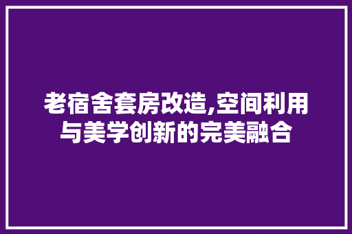 老宿舍套房改造,空间利用与美学创新的完美融合