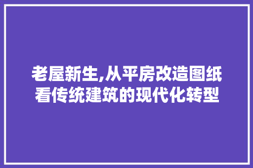 老屋新生,从平房改造图纸看传统建筑的现代化转型 厨房维修