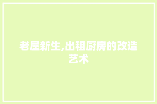 老屋新生,出租厨房的改造艺术 综合便民
