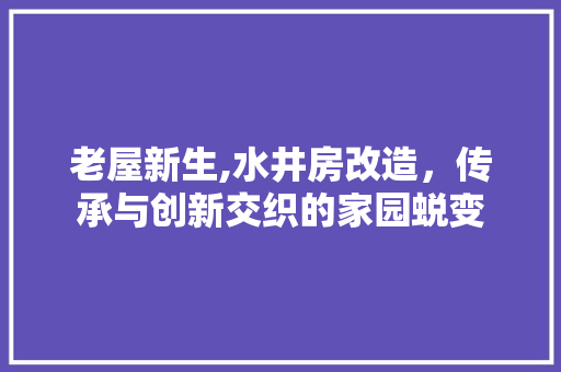 老屋新生,水井房改造，传承与创新交织的家园蜕变