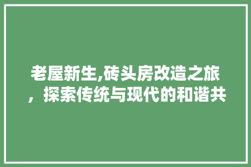 老屋新生,砖头房改造之旅，探索传统与现代的和谐共生 家电维修