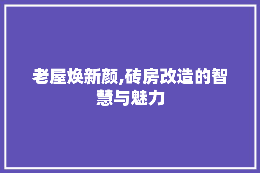 老屋焕新颜,砖房改造的智慧与魅力 汽车维修