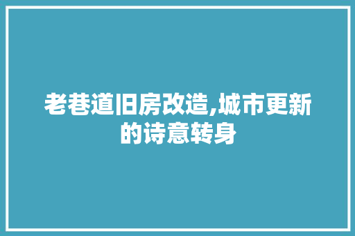 老巷道旧房改造,城市更新的诗意转身