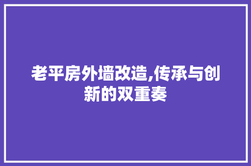 老平房外墙改造,传承与创新的双重奏