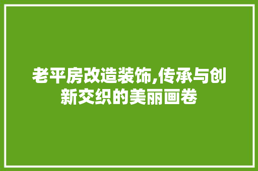 老平房改造装饰,传承与创新交织的美丽画卷