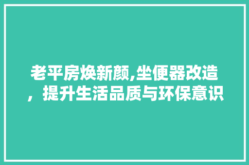 老平房焕新颜,坐便器改造，提升生活品质与环保意识 厨房维修