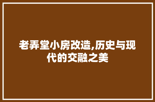 老弄堂小房改造,历史与现代的交融之美 墙体维修