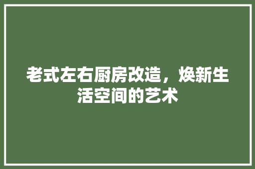 老式左右厨房改造，焕新生活空间的艺术