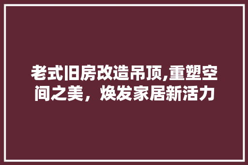 老式旧房改造吊顶,重塑空间之美，焕发家居新活力 家电维修
