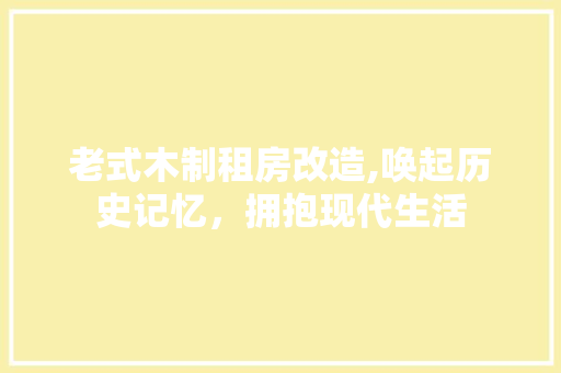 老式木制租房改造,唤起历史记忆，拥抱现代生活 厨房维修