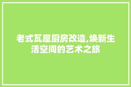 老式瓦屋厨房改造,焕新生活空间的艺术之旅 厨房维修