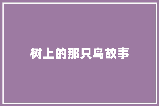 福鼎榴房,传统民居的焕新之旅_以改造设计为例