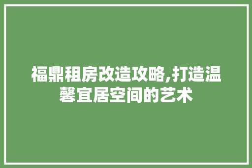 福鼎租房改造攻略,打造温馨宜居空间的艺术