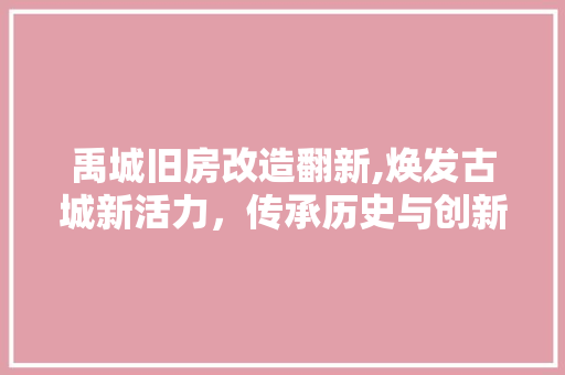 禹城旧房改造翻新,焕发古城新活力，传承历史与创新的和谐共鸣