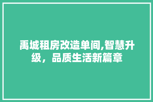 禹城租房改造单间,智慧升级，品质生活新篇章