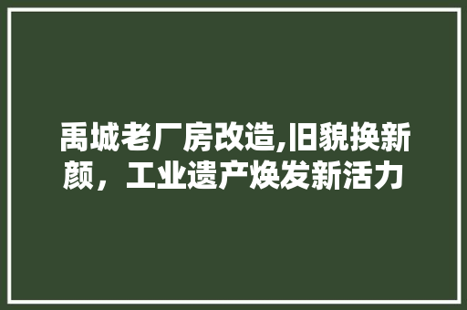 禹城老厂房改造,旧貌换新颜，工业遗产焕发新活力