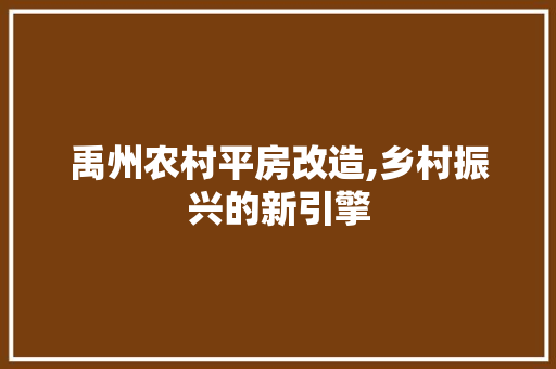 禹州农村平房改造,乡村振兴的新引擎
