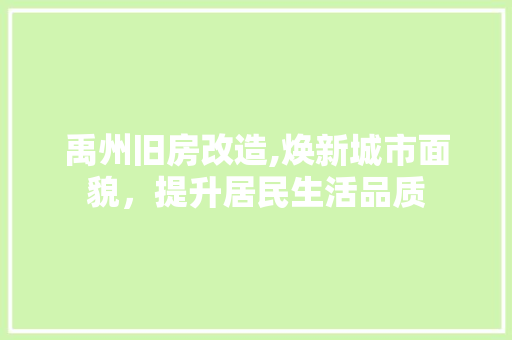 禹州旧房改造,焕新城市面貌，提升居民生活品质