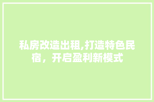 私房改造出租,打造特色民宿，开启盈利新模式