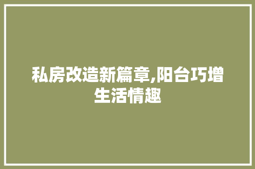 私房改造新篇章,阳台巧增生活情趣 汽车维修