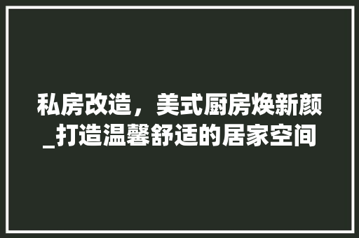 私房改造，美式厨房焕新颜_打造温馨舒适的居家空间