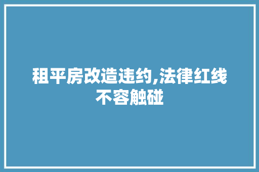 租平房改造违约,法律红线不容触碰 家电维修