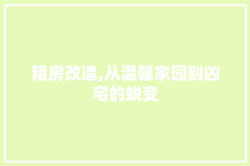 租房改造,从温馨家园到凶宅的蜕变