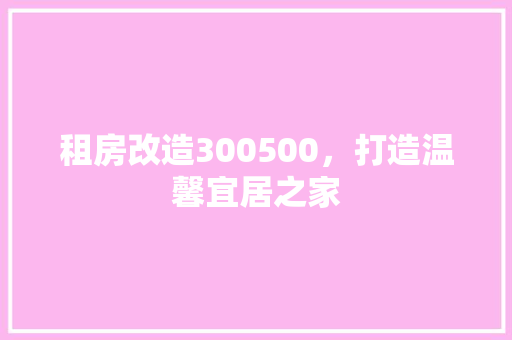 租房改造300500，打造温馨宜居之家