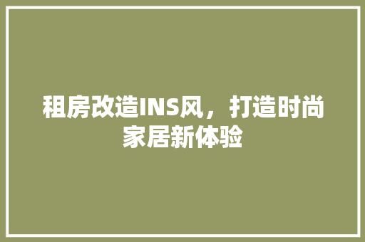 租房改造INS风，打造时尚家居新体验