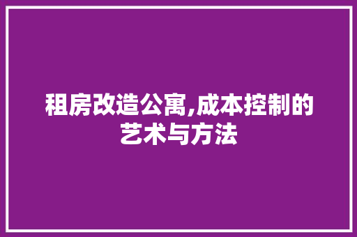 租房改造公寓,成本控制的艺术与方法 厨房维修
