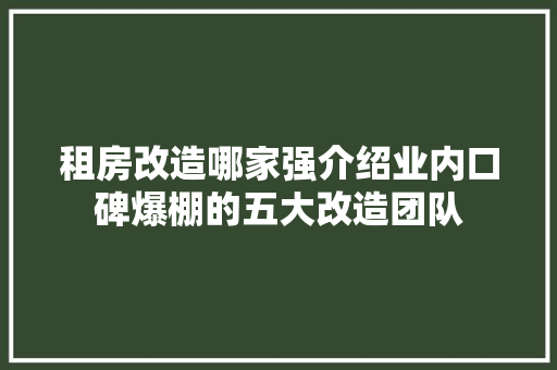 租房改造哪家强介绍业内口碑爆棚的五大改造团队